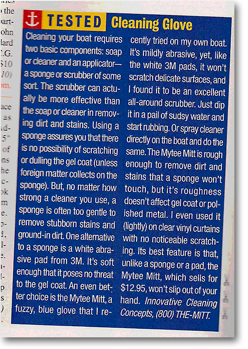 Mytee Mitt Review